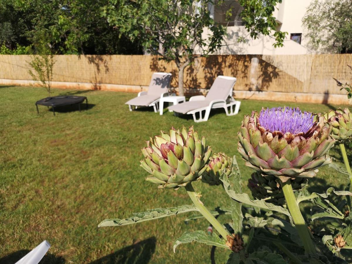 Chillout Apartments With Pool Patricia Fažana Exterior foto